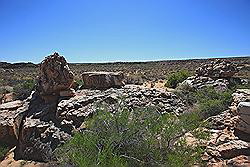 Kagga Kamma