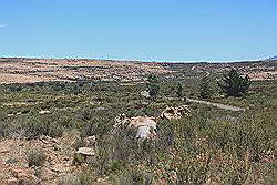 Kagga Kamma