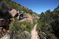 Cederberg - pad naar Maalgat