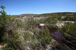 Cederberg - pad naar Maalgat