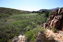 Cederberg - Maalgat; terugweg