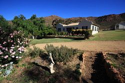 Cederberg - winery