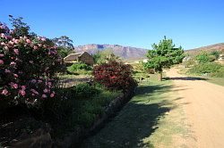 Cederberg - winery; watermolen