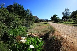 Cederberg - winery