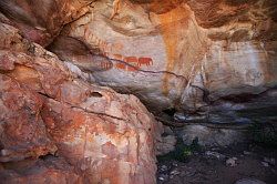 Cederberg - Stadsaal grotten; rotstekeningen