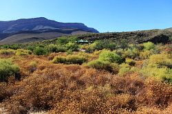 Cederberg - Mount Ceder resort