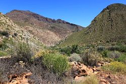 Cederberg - wandeling naar de waterval