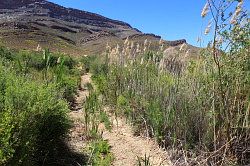 Cederberg - wandeling naar de waterval