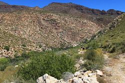 Cederberg - wandeling naar de waterval