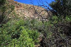 Cederberg - wandeling naar de waterval