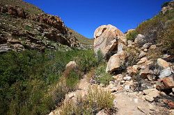 Cederberg - wandeling naar de waterval