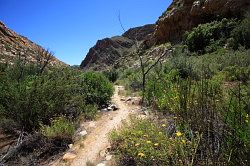 Cederberg - wandeling naar de waterval