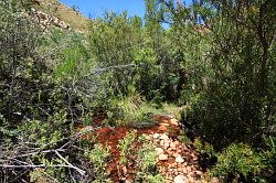 Cederberg - wandeling naar de waterval