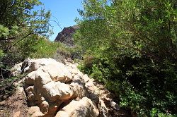 Cederberg - wandeling naar de waterval