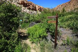 Cederberg - wandeling naar de waterval