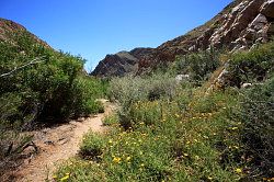 Cederberg - wandeling naar de waterval