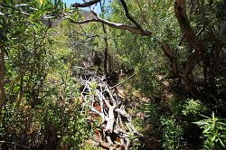 Cederberg - wandeling vanaf de waterval