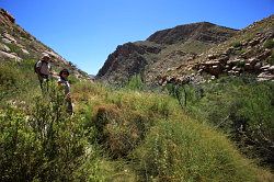 Cederberg - wandeling vanaf de waterval