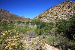 Cederberg - wandeling vanaf de waterval