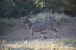 Mziki Safari Park - toch een beetje bang van ons