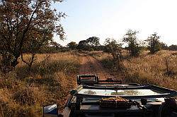 Mziki Safari Park