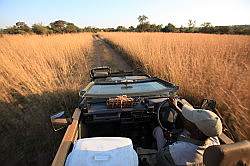 Mziki Safari Park