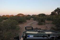 Mziki Safari Park - de ochtendsafari om 06:30 uur; het wordt net licht