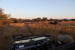 Mziki Safari Park