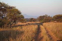 Mziki Safari Park