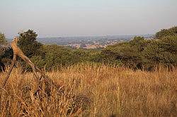 Mziki Safari Park