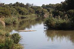 Mziki Safari Park