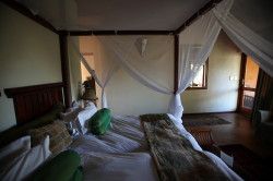 Shibula Lodge - kamer