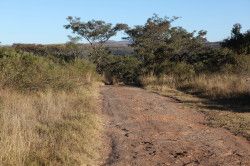 Shibula - middag safari