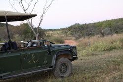 Shibula - middag safari; tijd voor een hapje en drankje in de natuur