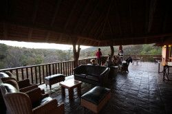 Shibula - ochtend safari; wakker worden op het terras met een kopje koffie