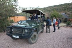 Shibula - ochtend safari