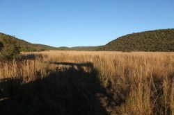 Shibula - ochtend safari