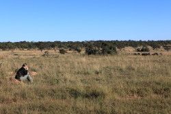 Shibula - ochtend safari; koffie drinken in de vrije natuur