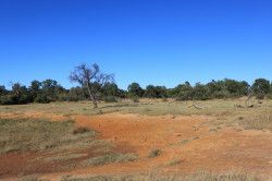 Shibula - ochtend safari