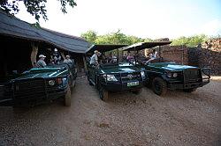 Madikwe - safari