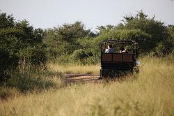 Madikwe - safari; de collega's
