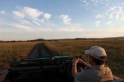 Madikwe - safari