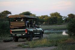 Madikwe - safari