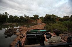 Madikwe - safari