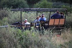 Madikwe - safari; de collega's