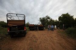 Madikwe - safari; kopje koffie in de vrije natuur