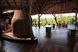 Madikwe - de Madikwe Safari Lodge; het terras