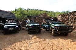 Madikwe - safari