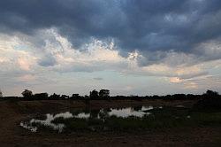 Madikwe - safari; zonsondergang