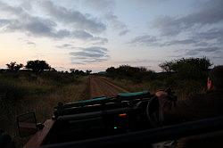 Madikwe - safari; weer vroeg op pad